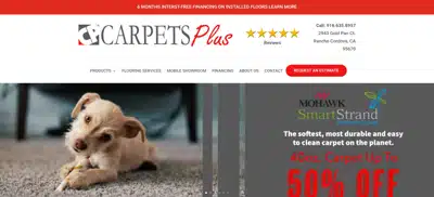 CarpetsPlusWebPageImage
